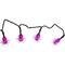 10ct. 4ft. Purple Spider LED Halloween Black Wire Lights